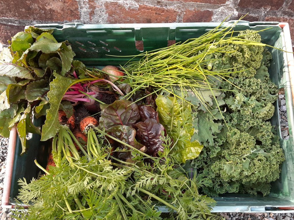 vegetables