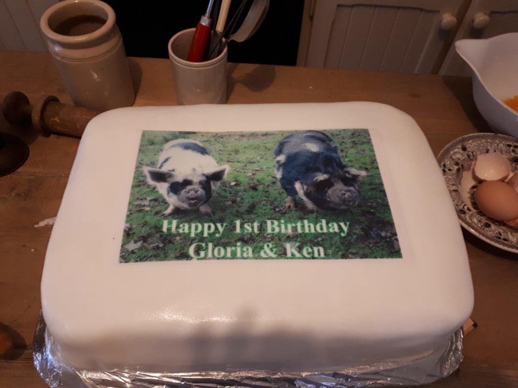 cake